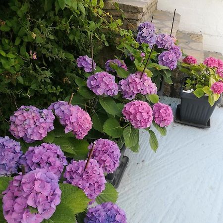 Scorpios Hotel & Suites Samos Town Bagian luar foto