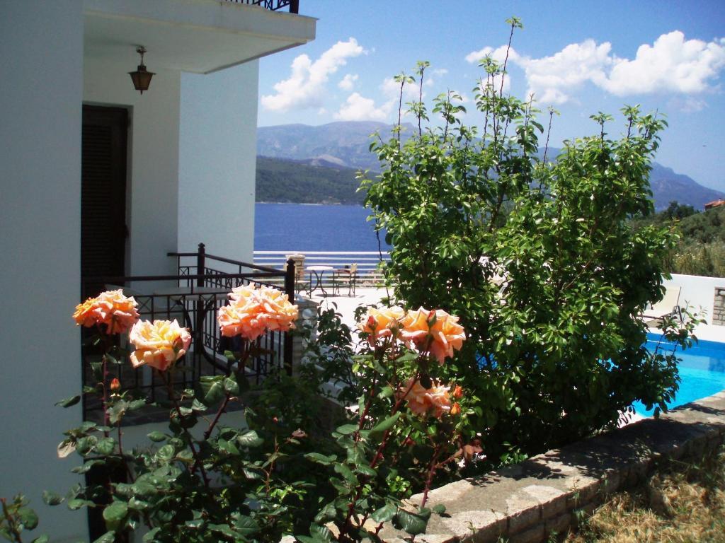 Scorpios Hotel & Suites Samos Town Ruang foto