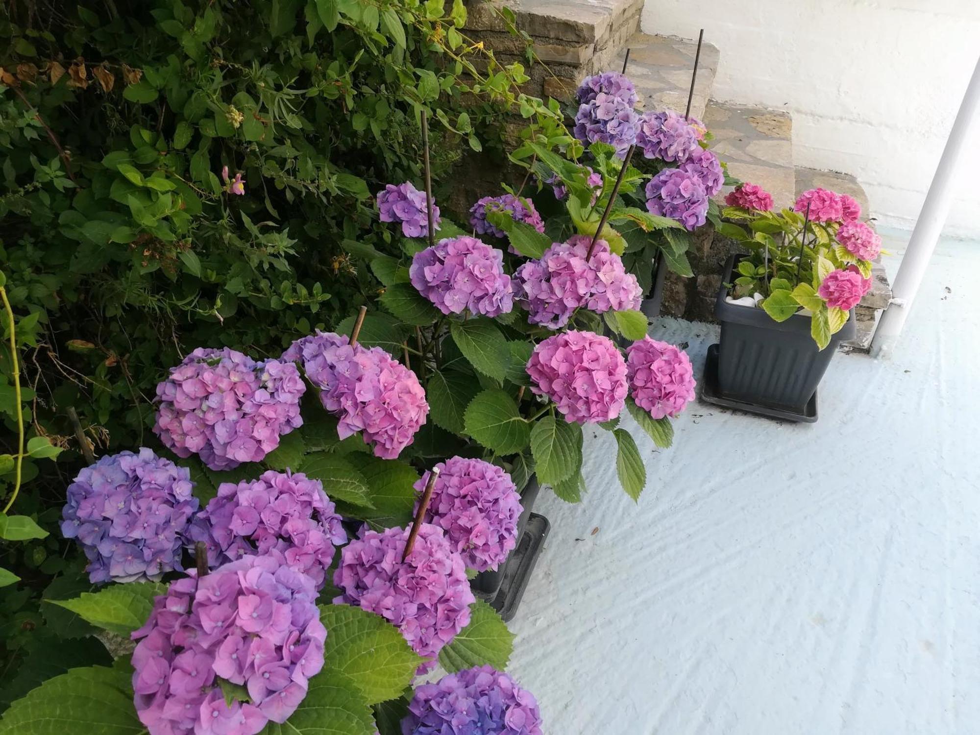 Scorpios Hotel & Suites Samos Town Bagian luar foto