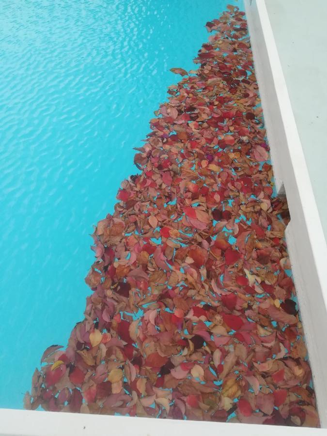 Scorpios Hotel & Suites Samos Town Bagian luar foto