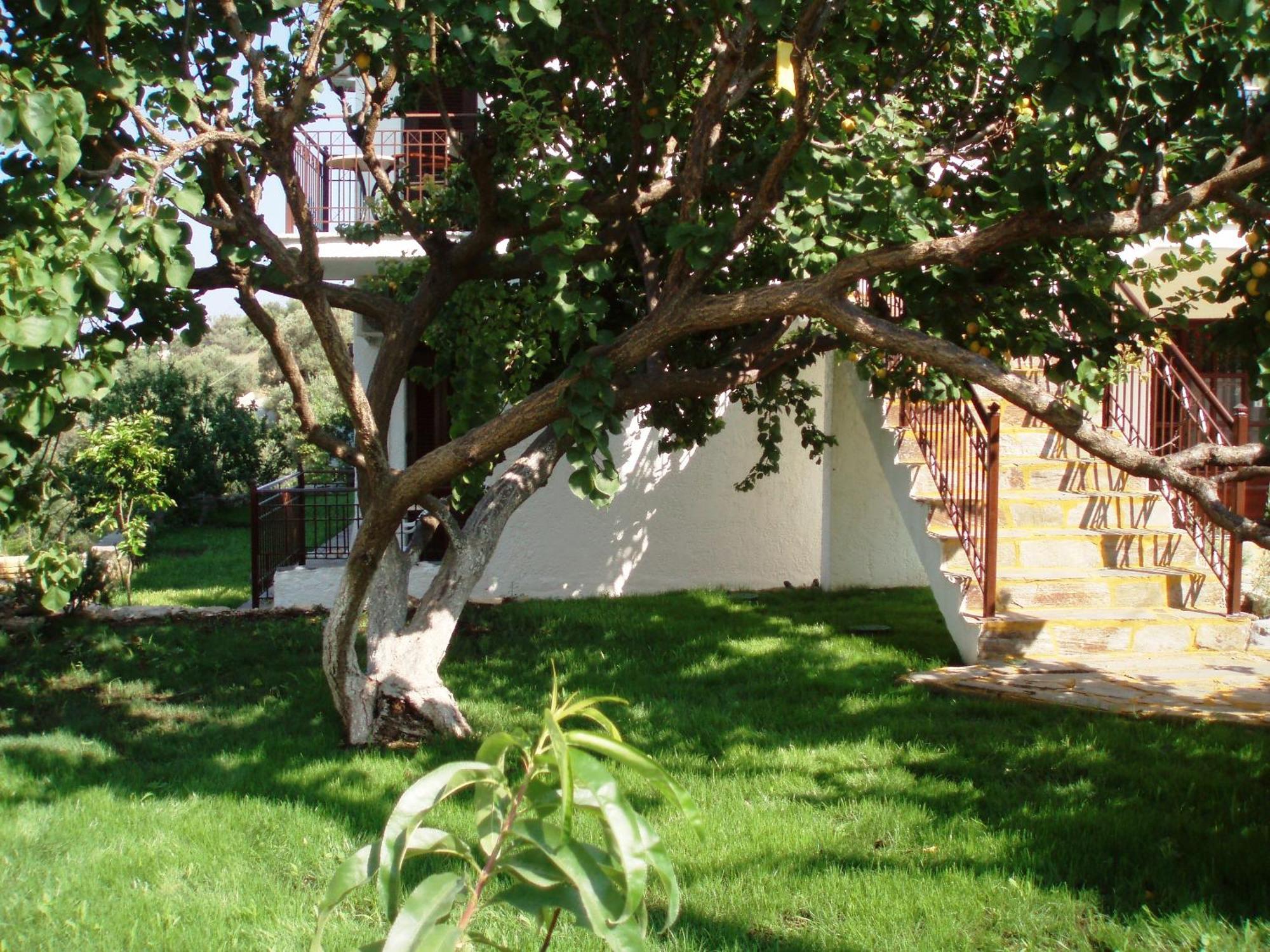 Scorpios Hotel & Suites Samos Town Bagian luar foto